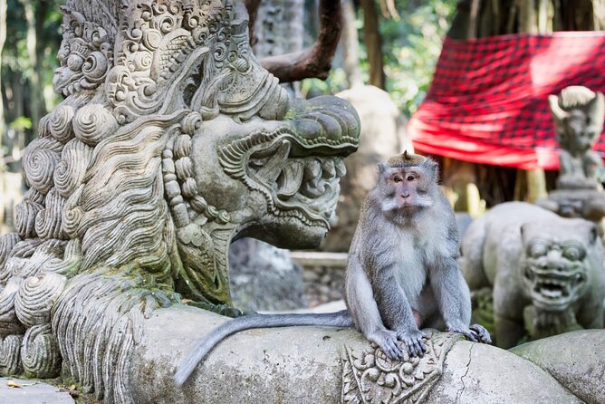 1-Day Ubud Tours All-Inclusive - Tirta Empul Temple: a quieter look at Balinese customs
