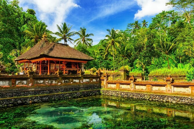 1-Day Ubud Tours All-Inclusive - Coffee plantation and herbal tea tasting