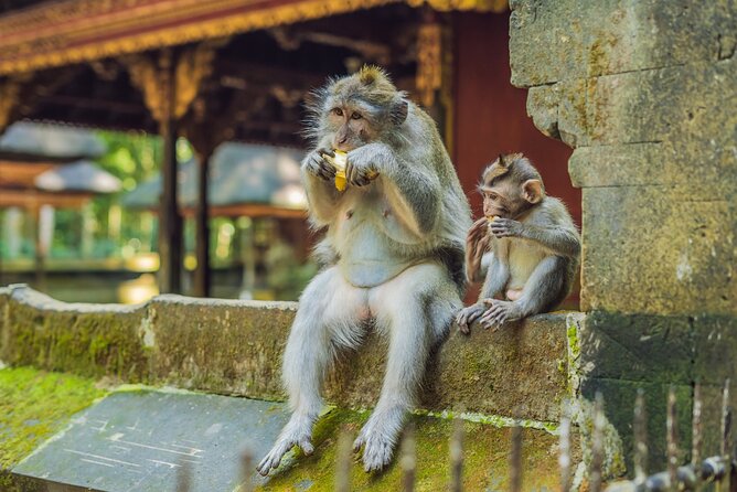 1-Day Ubud Tours All-Inclusive - A private car and the value of $39.77