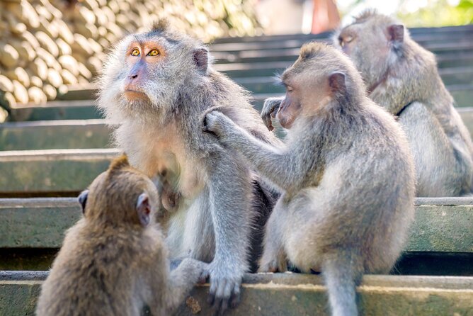 1-Day Ubud Tours All-Inclusive - The guides make the biggest difference