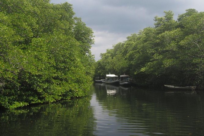 1 Hour Mangrove Tour From Lembongan with Kayak, Paddle, or Boat - Pickup from your hotel, then a short start at Mangrove Beach