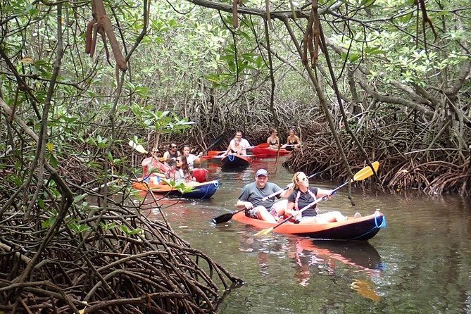 1 Hour Mangrove Tour From Lembongan with Kayak, Paddle, or Boat - Guidance, wildlife, and the nature of the experience