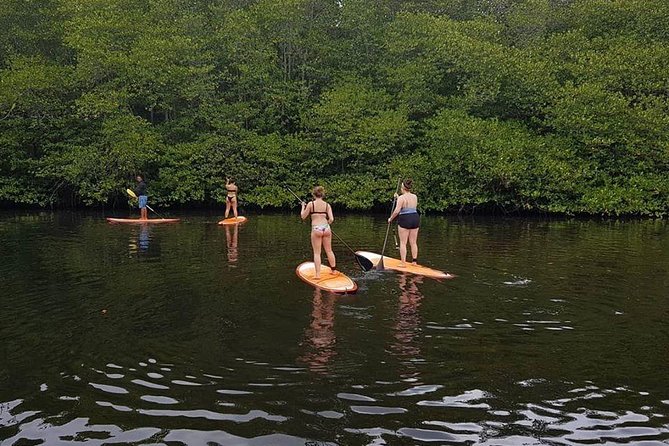1 Hour Mangrove Tour From Lembongan with Kayak, Paddle, or Boat - Is $10.70 good value?