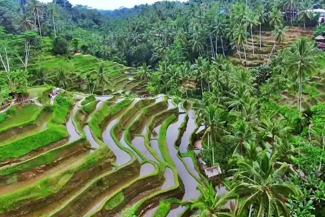 2-Day Experience Bali: Most Popular Tour - Why two days works better than one