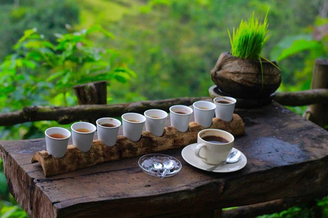 2 Days Best of Bali Famous Tour Packages - What the $142 Price Really Covers