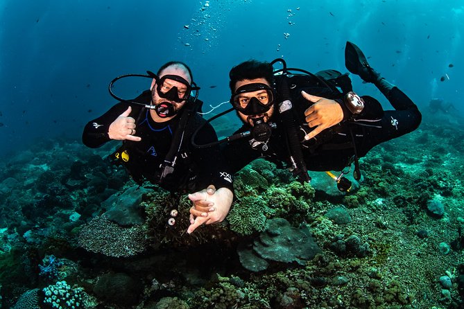 2 Days Discover Scuba Diving in Nusa Lembongan - Scuba Initiation - Should you book the Nusa Lembongan scuba initiation?