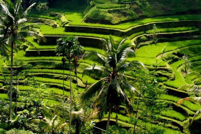 2 Days Mount Batur Sunrise Trekking With Private Ubud Day Tour - Dinner, hot drinks, and a basic night outdoors