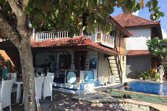 2 or 3 dives in Nusa Lembongan and Penida, for certified diver (in Lembongan) - Gamat Bay and other possible sites