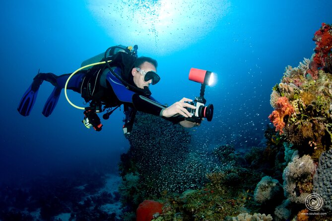 2 or 3 dives in Nusa Lembongan and Penida, for certified diver (in Lembongan) - Lunch, equipment, and what the price really covers