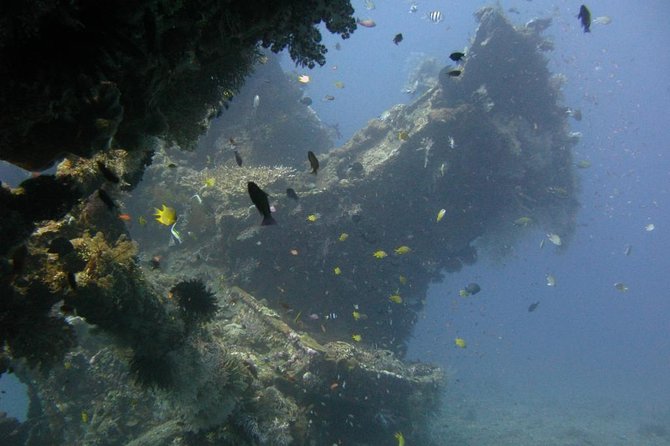 2 PADI Certified Dives at Tulamben from Bali - The 7:00 a.m. pickup and ride to Tulamben