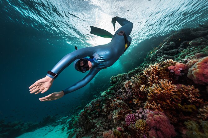 3-Day Freediving Level 1 Course - Key points to know before booking