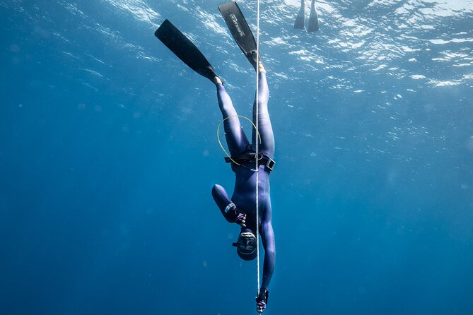 3-Day Freediving Level 1 Course - Day three: open water around coral and fish