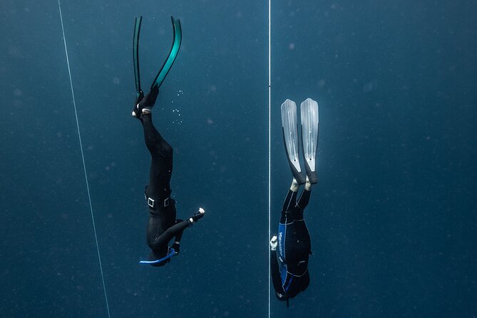 3-Day Freediving Level 1 Course - Who should take this course