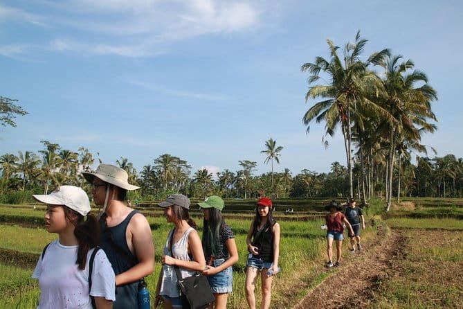 3-Day Private Sightseeing Tour of Bali with Hotel Pickup - FAQ