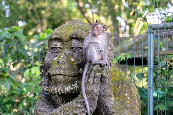 3 Days for the best of Ubud Private Tour - What $195 buys you over three days