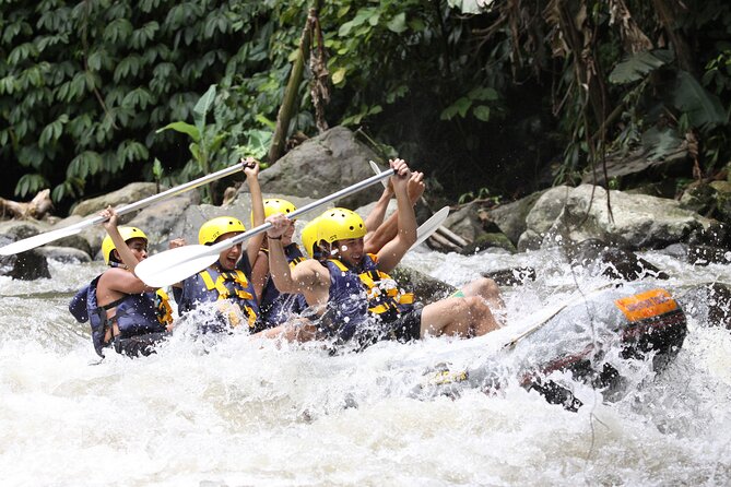 3 Days for the best of Ubud Private Tour - Taman Sari and Kanto Lampo waterfalls