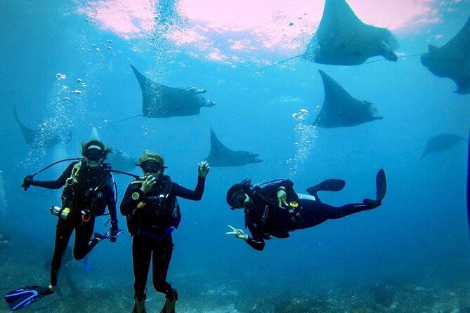 3 Epic Dives in Nusa Penida - Certified Divers' Day Trip - Key points at a glance
