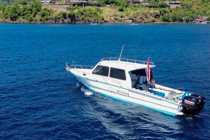 3 Epic Dives in Nusa Penida - Certified Divers' Day Trip - From Sanur harbor to three ocean sessions