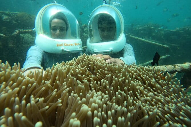 30 Minutes Ocean Walking in Nusa Dua, Bali - Who Will Like This Ocean Walk?