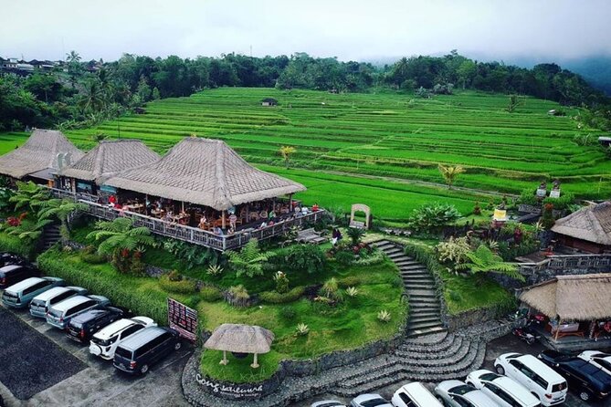 4-Hour Private Tour in Jatiluwih Terraces and Butterfly Park - Why this Bali day trip works