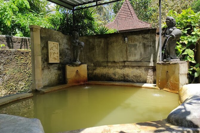4-Hour Private Tour in Jatiluwih Terraces and Butterfly Park - The driver is the practical advantage