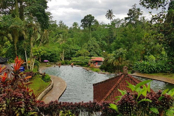 4-Hour Private Tour in Jatiluwih Terraces and Butterfly Park - Who will enjoy this experience most
