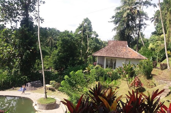 4-Hour Private Tour in Jatiluwih Terraces and Butterfly Park - Timing, weather, and cancellation advice