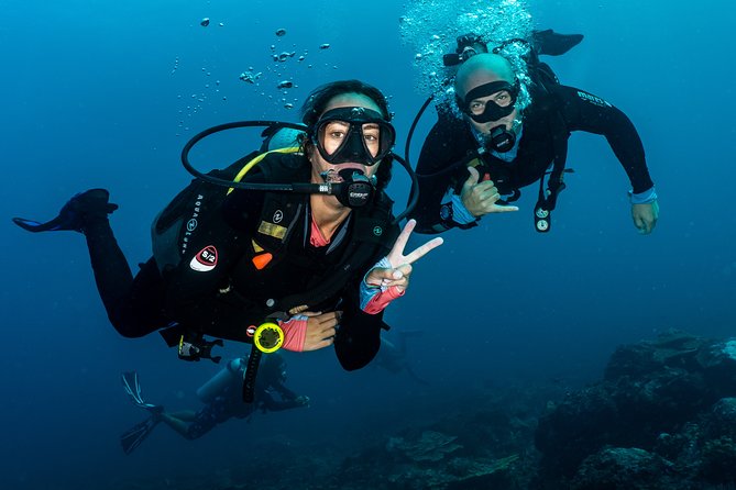 5 Fun Dives in Pemuteran (for certified divers) - Exploration in Menjangan Park - The guides and the feel of the center