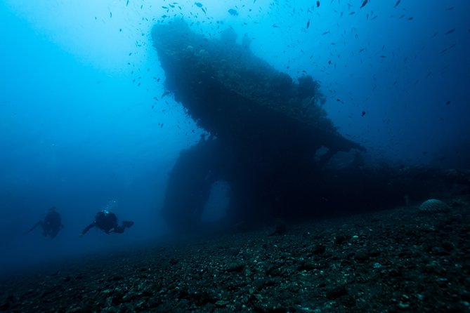 5 Fun Dives in Tulamben (for certified divers) - Discover famous diving sites - Why five sessions work well in Tulamben