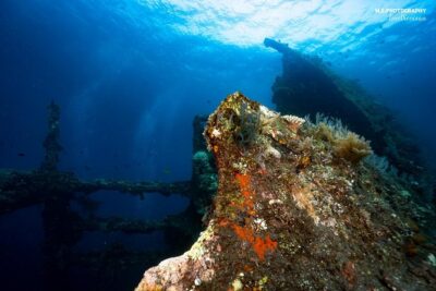 5 Fun Dives in Tulamben (for certified divers) – Discover famous diving sites