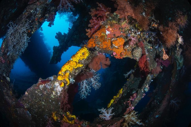 5 Fun Dives in Tulamben (for certified divers) - Discover famous diving sites - Guides who add value underwater