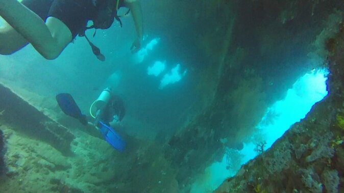 7 Fun Dives in Tulamben (for certified divers) - Premium Value Package - Key points to know before you book