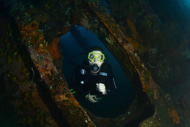 7 Fun Dives in Tulamben (for certified divers) - Premium Value Package - The guide makes the biggest difference