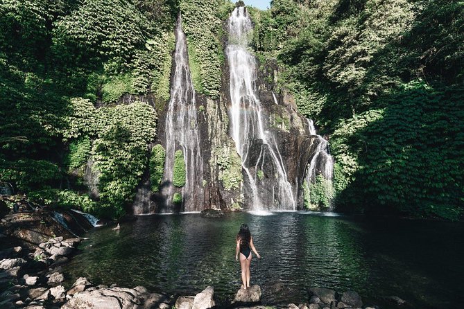 Aling-aling Waterfall tours - Banyumala Twin Waterfalls: The Relaxed Finish