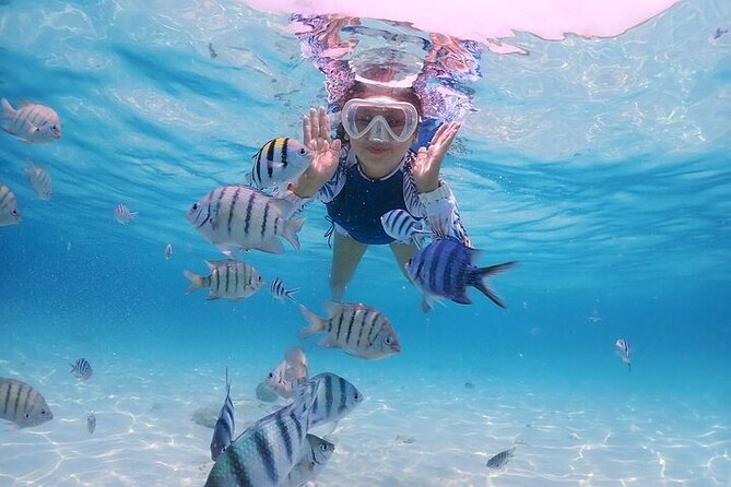 (ALL- IN) Bali Snorkeling Blue Lagoon with Waterfall Visit - Is $45 good value for a full day?