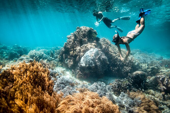 All Inclusive Bali Blue Lagoon and Tanjung Jepun Snorkeling - Key points at a glance