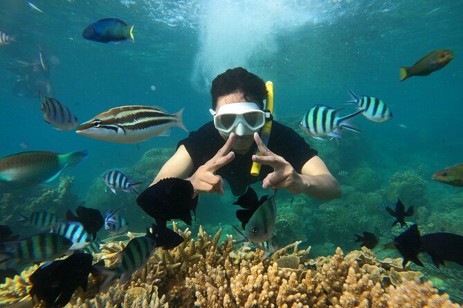 All Inclusive Bali Blue Lagoon and Tanjung Jepun Snorkeling - Tanjung Jepun gives you the quieter first look