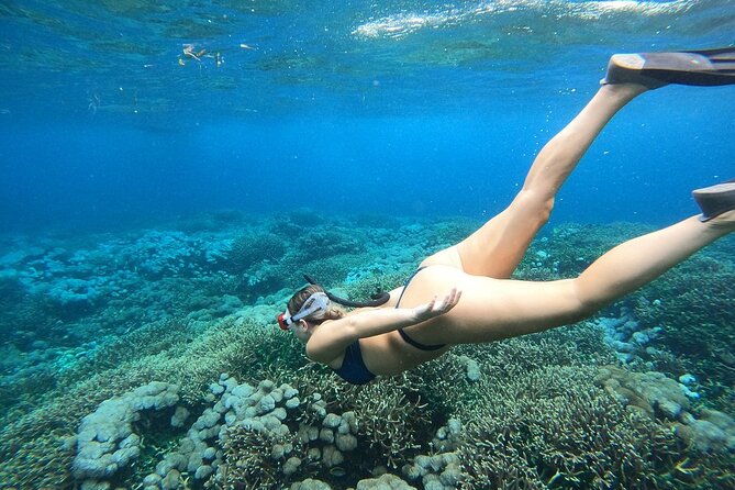 All Inclusive Bali Blue Lagoon and Tanjung Jepun Snorkeling - What the $48 price really covers
