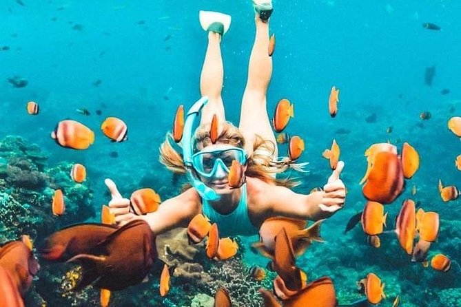 All Inclusive : Bali Blue Lagoon Snorkeling, Lunch, and Transport - Why Blue Lagoon works for a first snorkeling day