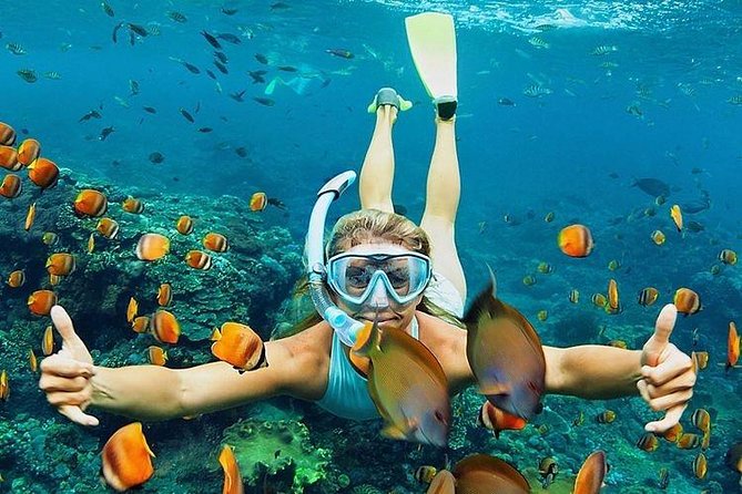 All Inclusive : Bali Blue Lagoon Snorkeling, Lunch, and Transport - The road from Ubud is part of the trade-off