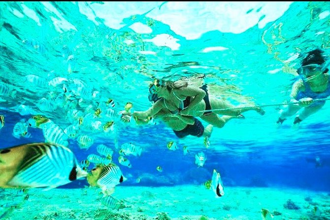 All Inclusive : Bali Blue Lagoon Snorkeling, Lunch, and Transport - Lunch is convenient, but keep expectations modest