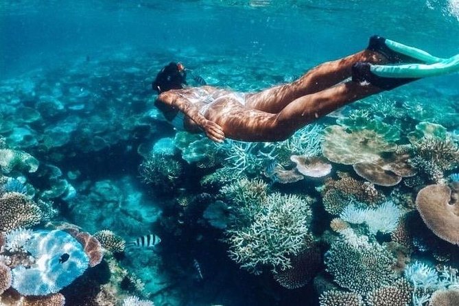 All Inclusive : Bali Blue Lagoon Snorkeling, Lunch, and Transport - Seeing Blue Lagoon and Tanjung Jepun