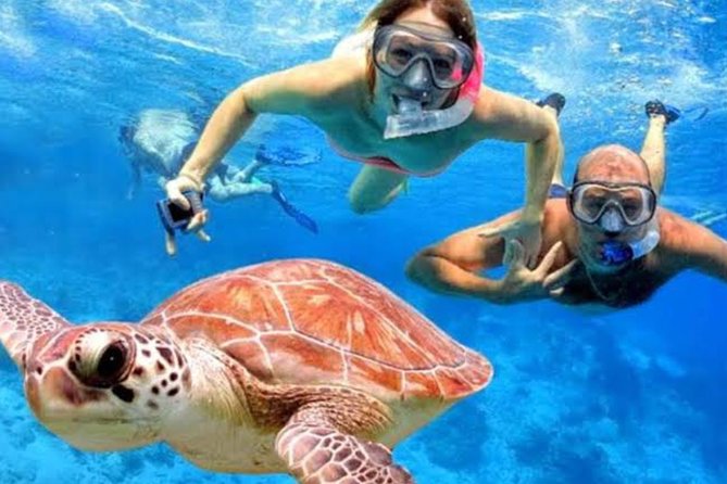 All Inclusive Bali Blue Lagoon Snorkeling with Lunch and Transport - What the 10-hour schedule feels like