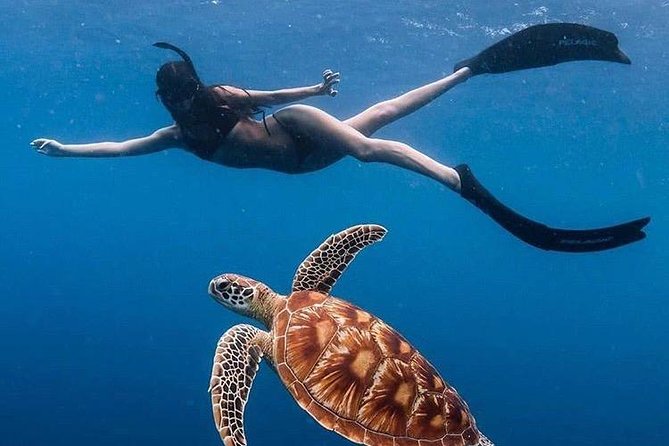All Inclusive : Bali Blue Lagoon Snorkeling with Lunch &Transfers - Key points to know before booking
