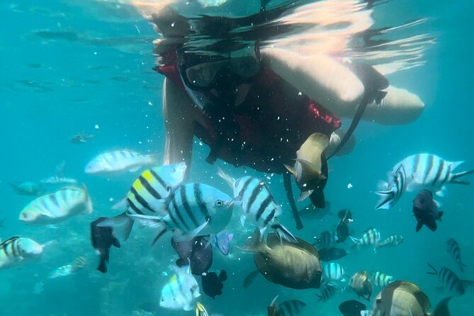 All Inclusive : Bali Blue Lagoon Snorkeling with Lunch &Transfers - Why this tour works well from Ubud