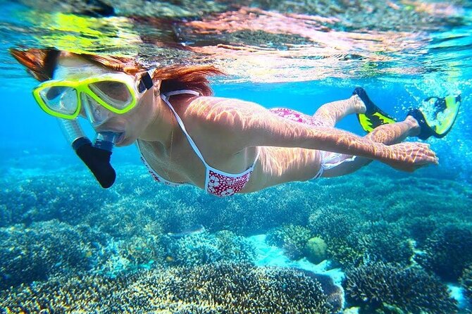 All Inclusive : Bali Blue Lagoon Snorkeling with Lunch &Transfers - Is it really a private snorkeling trip?