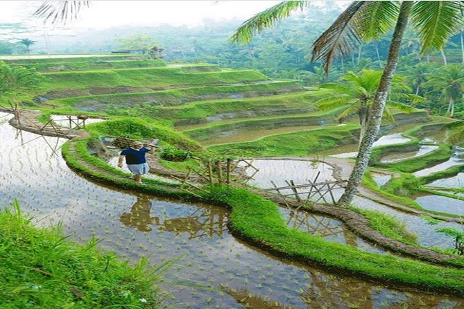 ALL INCLUSIVE - Bali Gate Of Heaven Tour - Is $75 a Good Price?