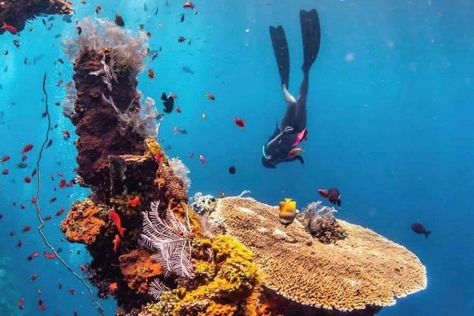 All Inclusive Bali Scuba Diving at Tulamben with Lunch -Transport - An early road trip from Ubud to Bali’s east coast