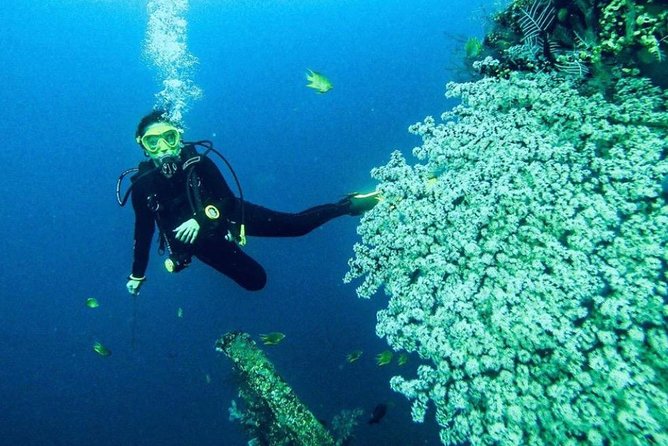 All Inclusive Bali Scuba Diving at Tulamben with Lunch -Transport - What the $150 price really covers