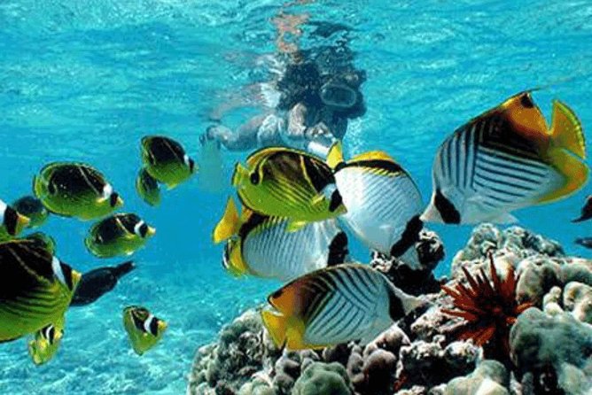 All Inclusive Bali Snorkeling Blue Lagoon tour experience - What the boat setup means for you
